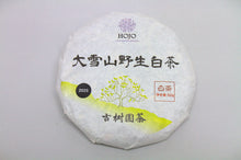 Load image into Gallery viewer, Da Xue Shan Wild White Tea Cake 2025 / 大雪山野生白茶饼
