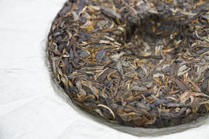 Dong Shan Raw Pu-erh 2024 / 东山生茶