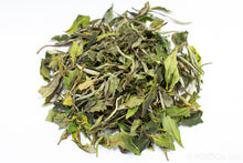 Load image into Gallery viewer, High Mountain White Tea 2024 / 高山白茶
