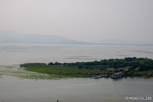 狮峰龙井茶