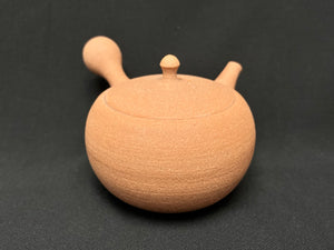 ZA3787 Kobiwako Clay Tea Pot 220ml (K585)