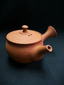 Iga Natural Red Clay Tea Pot No. 2A