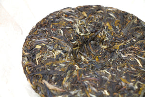 Wu Mu Long Raw Pu-erh Tea 2023 / 乌木龙古树生茶