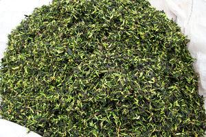 Da Xue Shan Wild White Tea 2024 Loose Tea / 大雪山野生白茶 散茶