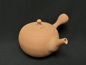 ZA3787 Kobiwako Clay Tea Pot 220ml (K583)