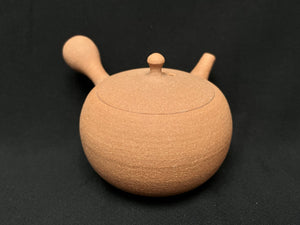 ZA3787 Kobiwako Clay Tea Pot 220ml (K583)