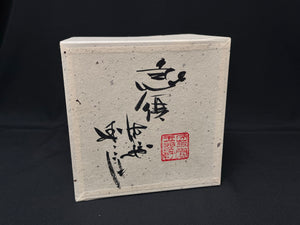 C180SH Watanabe Tozo Akitsu Clay Tea Pot