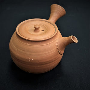 Tokoname Clay Tea Pot WM1