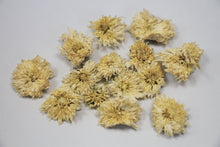 Load image into Gallery viewer, Huang Shan Chrysanthemum / 黄山贡菊
