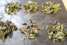Load image into Gallery viewer, Single Tree White Tea / 单株古树白茶
