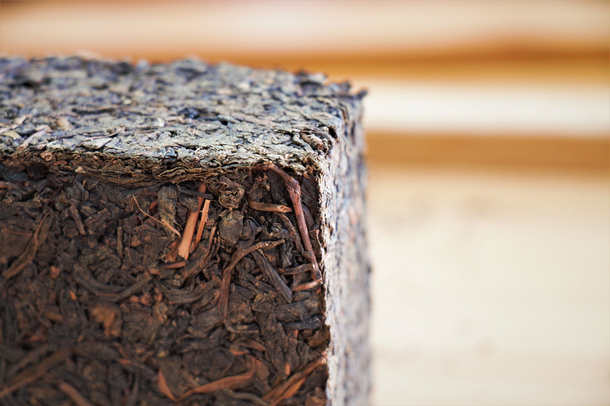 茯砖茶2008 – HOJO TEA MY