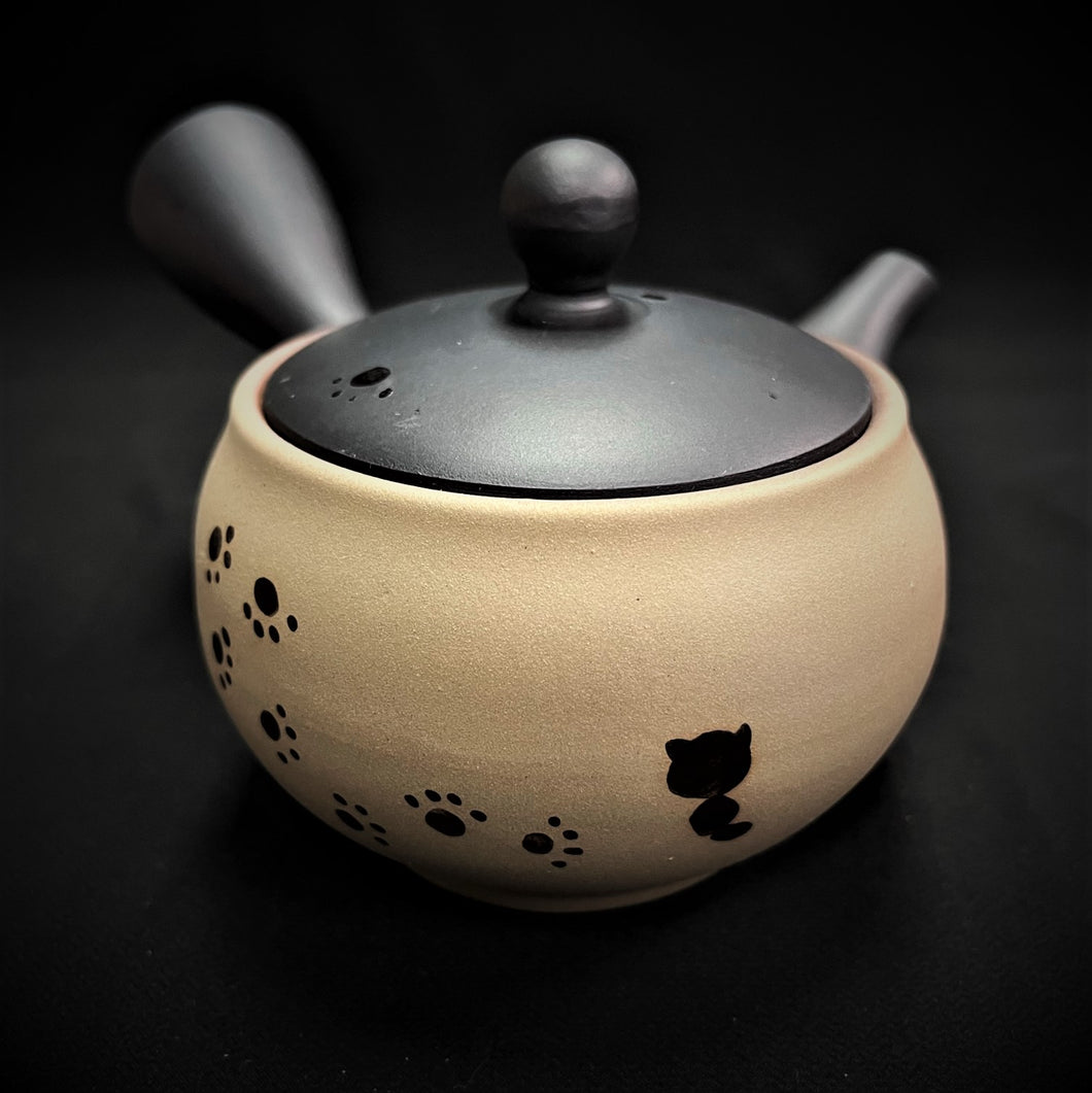 Tokoname Clay Tea Pot M641