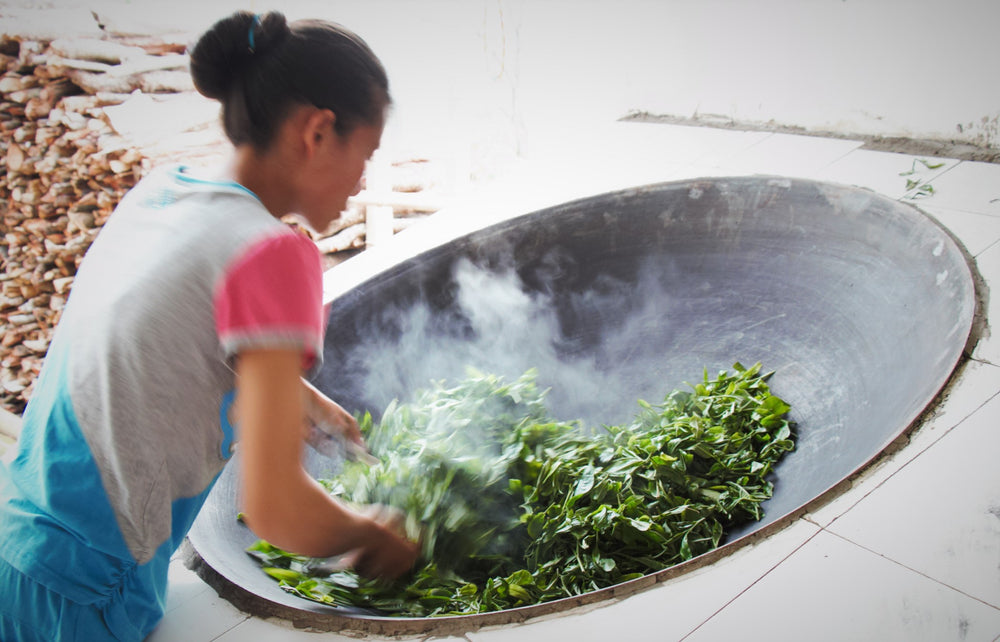 HOJO Tea Blog
