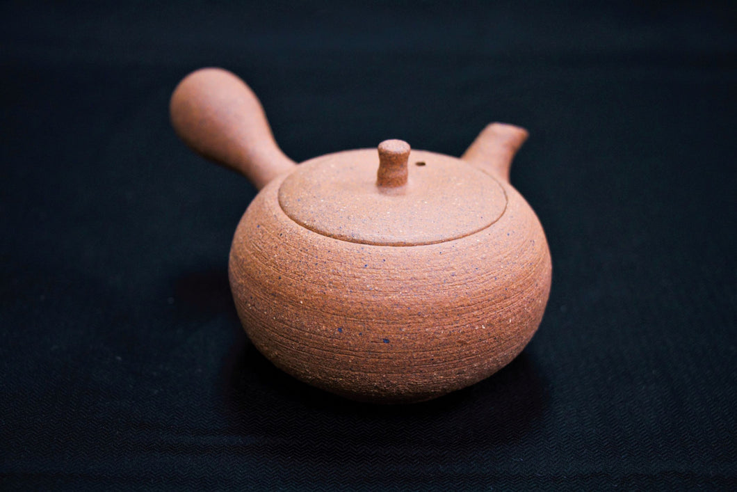 117-4 Shigaraki Rough Clay Tea Pot 160ml