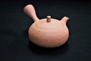 120-3 Shigaraki Rough Clay Tea Pot 150ml