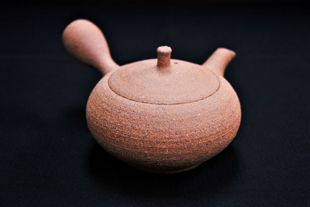 124-6 Shigaraki Rough Clay Tea Pot 230ml