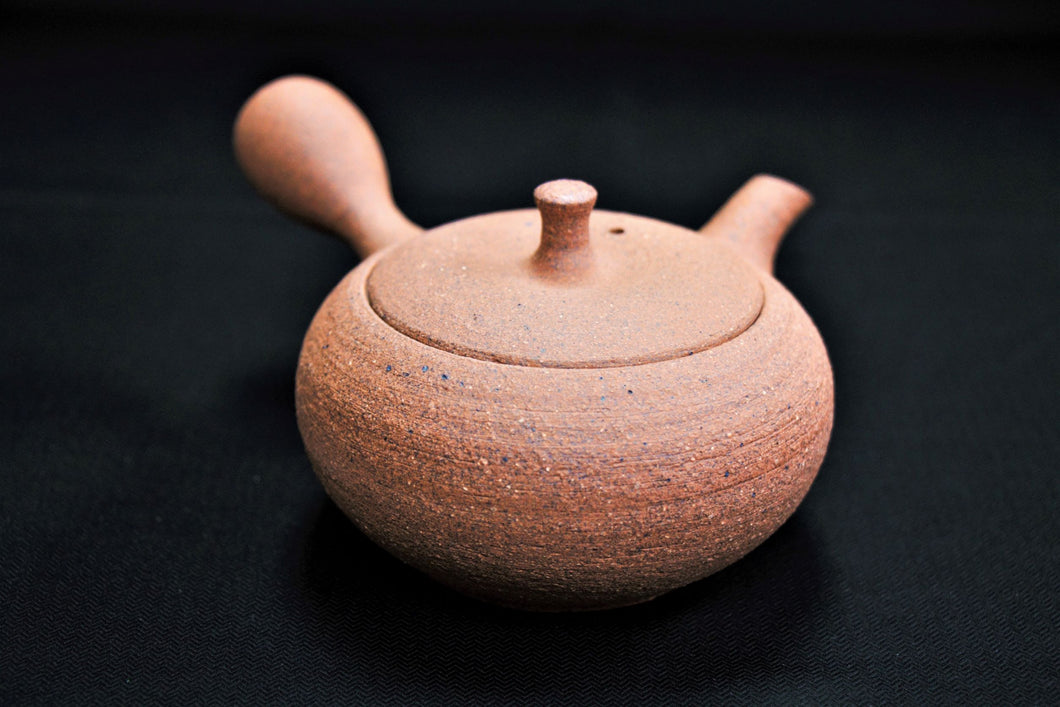 126-5 Shigaraki Rough Clay Tea Pot 270ml