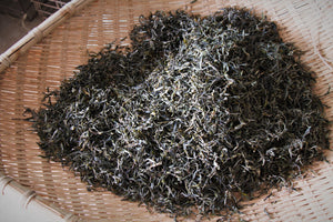 Single Tree Black Tea 2019 (Loose Tea) / 単株古树红茶 散茶