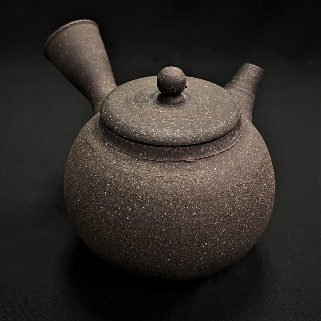 Tokoname Clay Tea Pot WM5