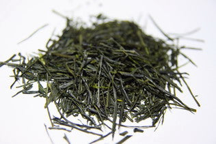 本山蛇塚煎茶– HOJO TEA MY